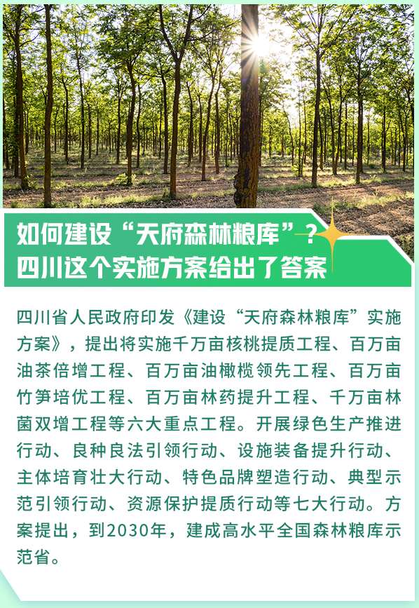 政策回顾：四川省人民政府2023年12月出台重要政策(图6)